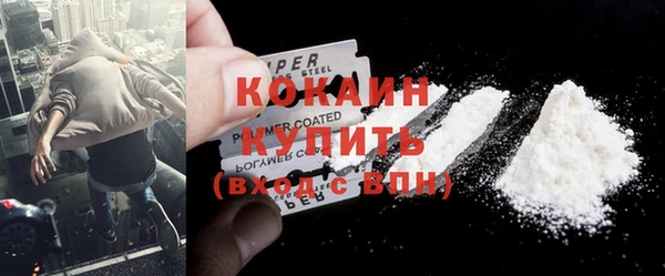молекула духа Богородицк