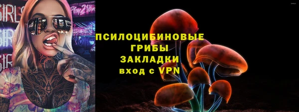 молекула духа Богородицк