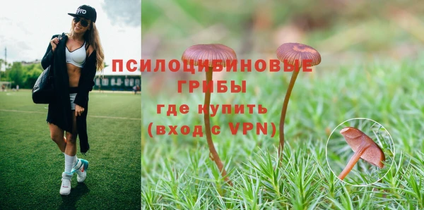 ALPHA-PVP Богданович