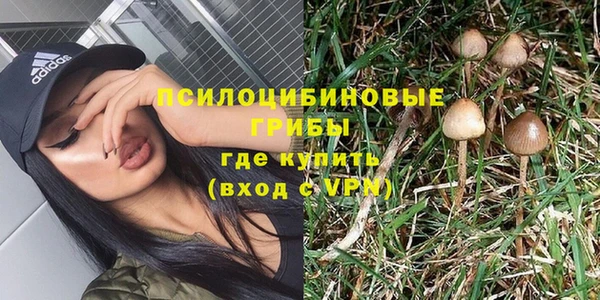 ALPHA PVP Белокуриха