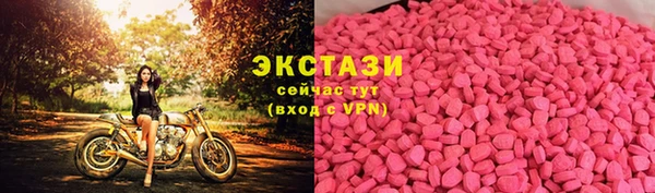 дмт Богородск